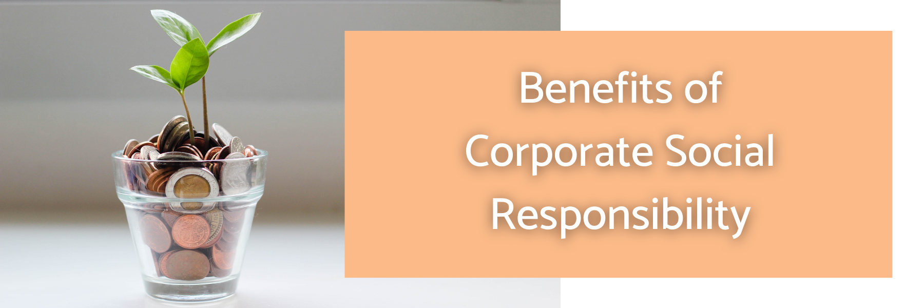 benefits of csr essay