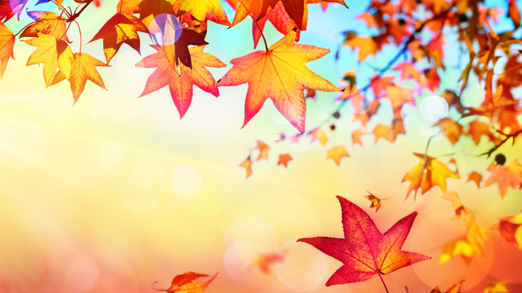 Fall into a New Routine - InteraWorks