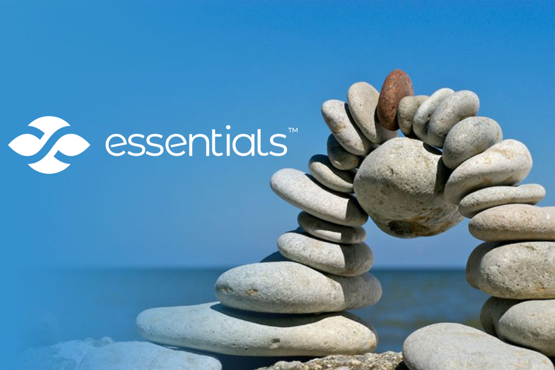 Essentials program suite takes soft skills mastery to new heights