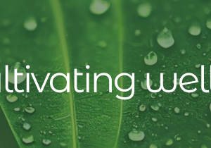 OE Cultivating Well-Being